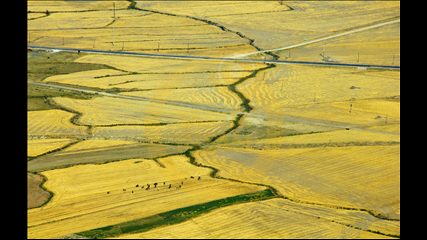 Alev Özcan - Harita