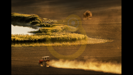 Ali Haydar Ceylan - Çankırı