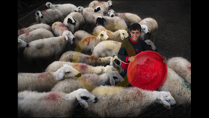 Ali Haydar Ceylan - İzmit