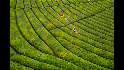 Ali Mermertaş - Çay