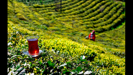 Alp Yetimoğlu - Çay Keyfi