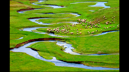 Alp Yetimoğlu - Menderesteki Sürü