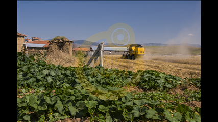 Arap Çataroğlu - Toprak Ana