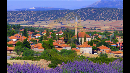 Aydil Sefa Aras - Lavantalar