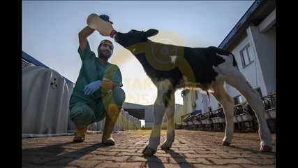 Batuhan Beceren - Kahvaltı