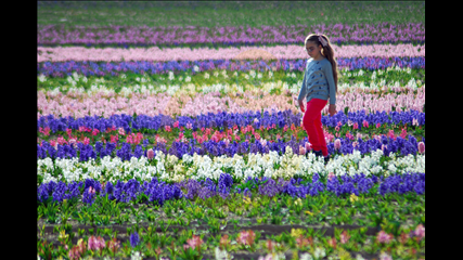 Celal Gezici - Çiçek Ve Çocuk