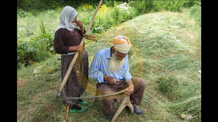 Celalettin Tavuskerli - Yaşamak İçin
