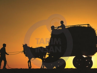 1. Tarım ve İnsan Fotoğraf Yarışması