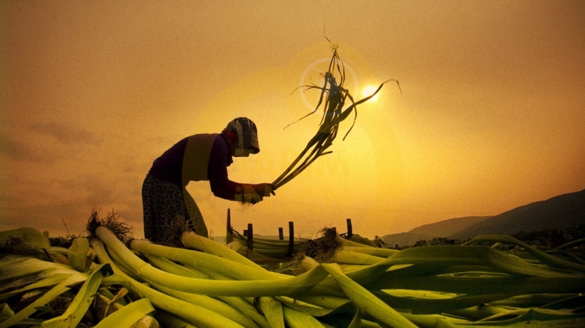7. Tarım ve İnsan Fotoğraf Yarışması