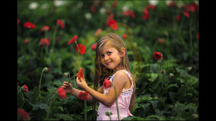 Ekrem Şahin - Çiçek Kız