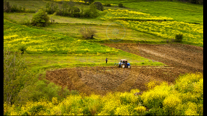 Hasan Zer - Traktör