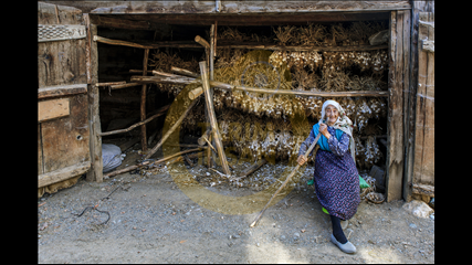 Hikmet Cabar Yavuzak - Ambar