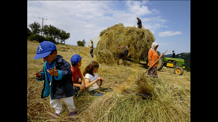 İbrahim Yazıcıoğlu