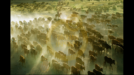 Nuri Çorbacioğlu - İsimsiz