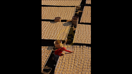 Oğuz İpçi - Tarhana