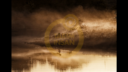 Orhan Köse - Akşam