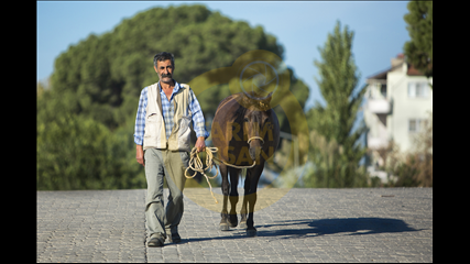 Özgün Atila - Eğitim