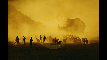 Özkan Olcay - Biçerdöver