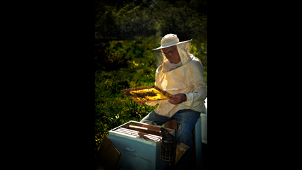 Resul Gümüş - Baldan