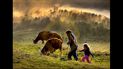 Sabri Altin - İsimsiz