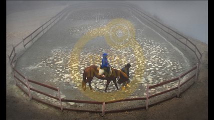 Sabri Altin - İsimsiz