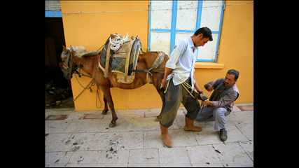 Yeşim Eralp Dağdelen