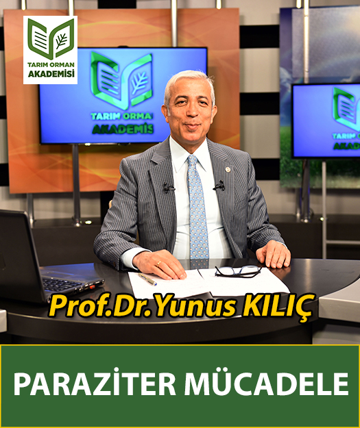 Prof.Dr. Yunus Kılıç