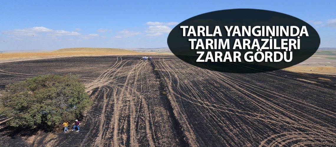 Tarla yangınında tarım arazileri zarar gördü