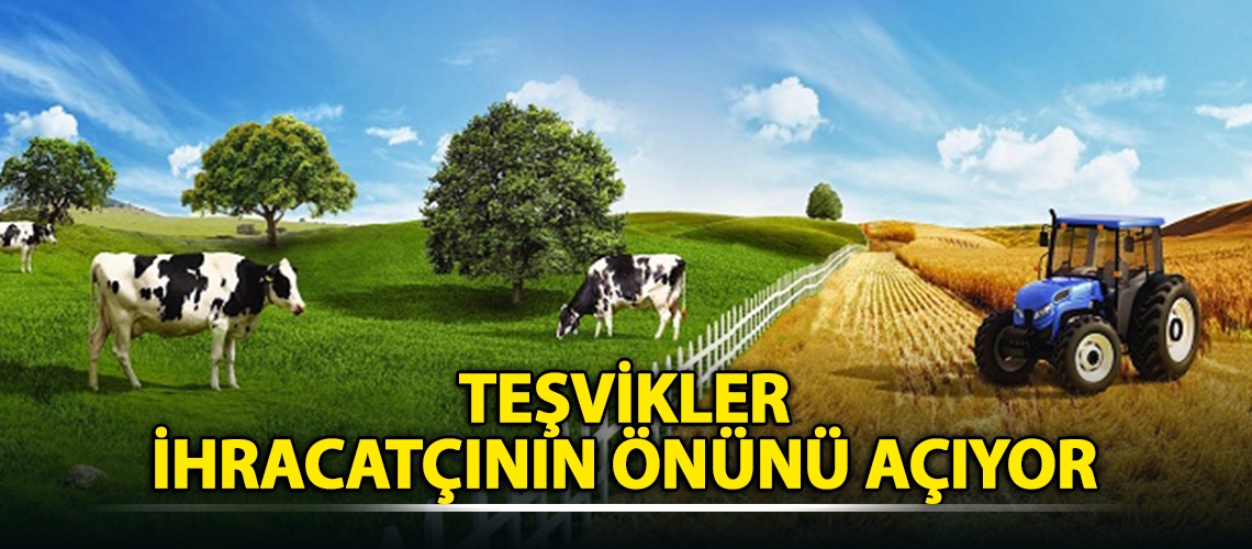 Teşvikler ihracatçının önünü açıyor