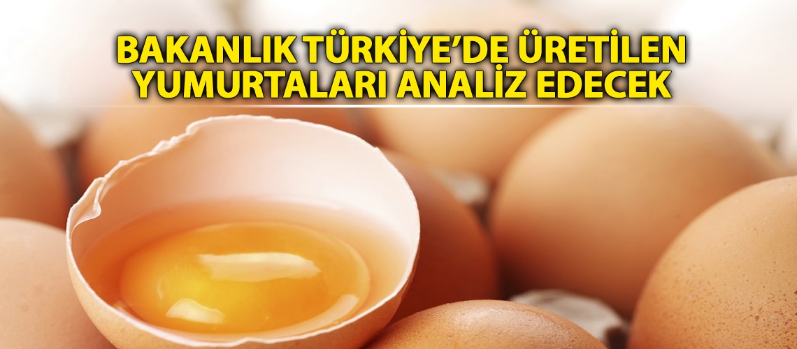 Türkiye, Avrupa'daki yumurta krizini izlemeye aldı