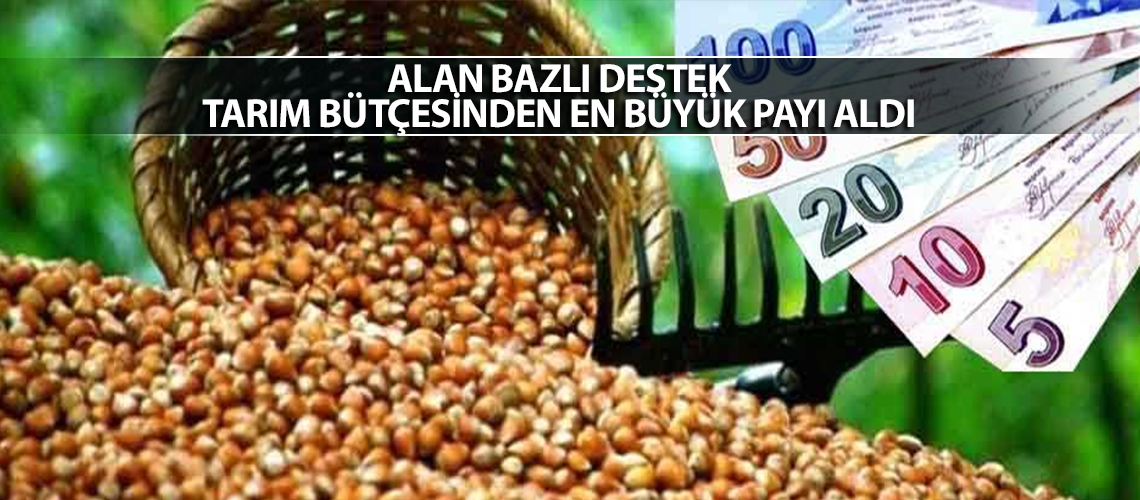 Alan bazlı destek tarım bütçesinden en büyük payı aldı