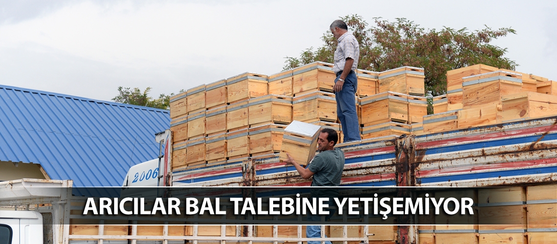 Tunceli balına yoğun talep