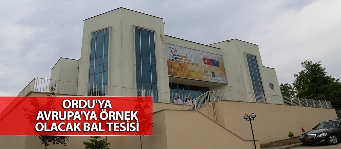 Ordu'ya Avrupa'ya örnek olacak bal tesisi