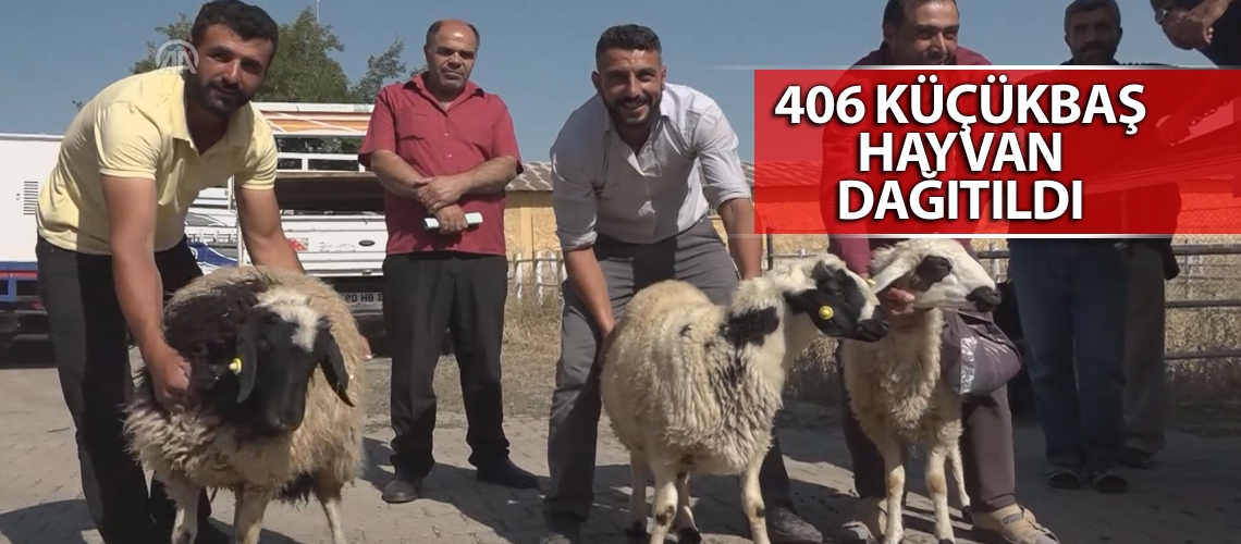 Bingöl’de genç üreticiye hayvan desteği