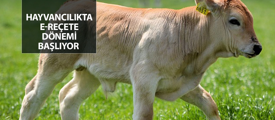 Muğla’da eğitim toplantısı yapıldı