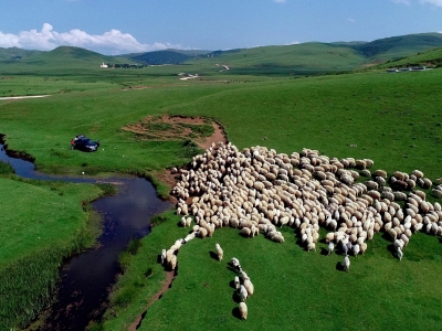 Ziyaretçilerini büyülüyor