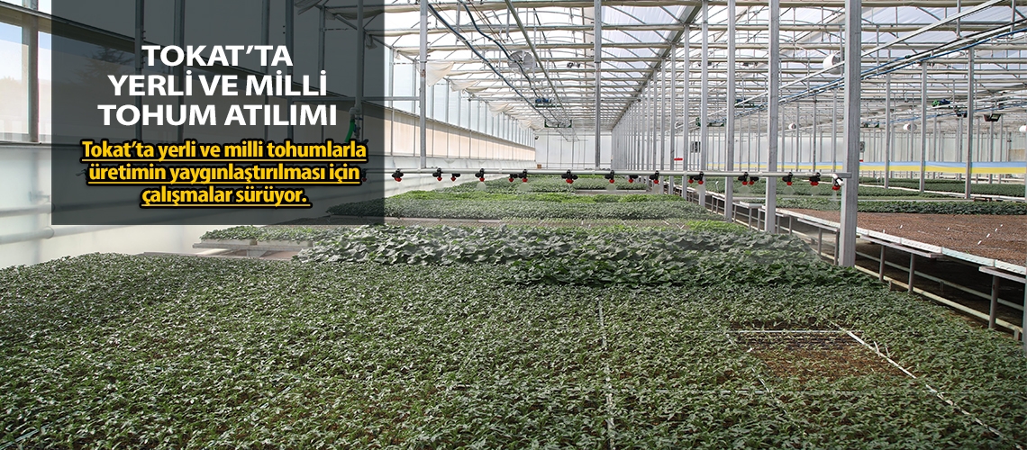Tokat’ta yerli ve milli tohum atılımı