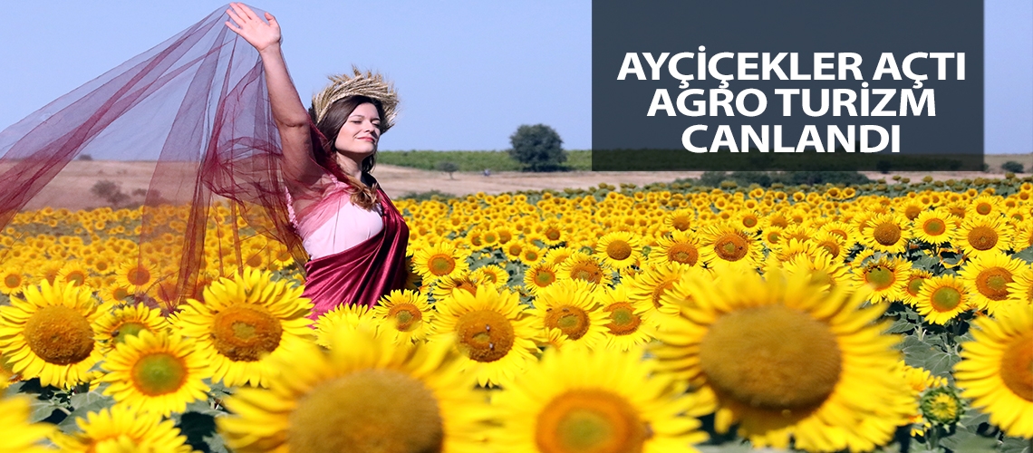 Ayçiçekler açtı, agro turizm canlandı