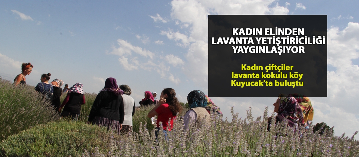 Kadın çiftçiler lavanta kokulu köy Kuyucak’ta buluştu