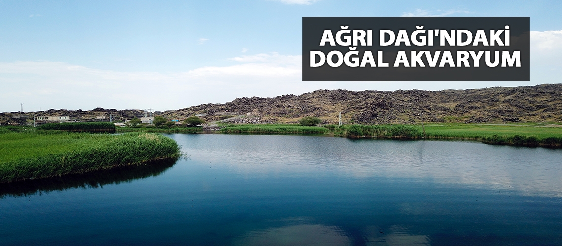 Ağrı Dağı'ndaki doğal akvaryum