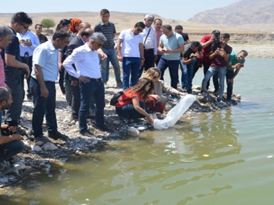 Şırnak’ta balıklandırma faaliyetleri