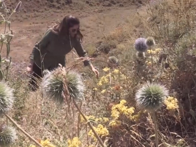 Akademisyenler bitki florası için dağlarda