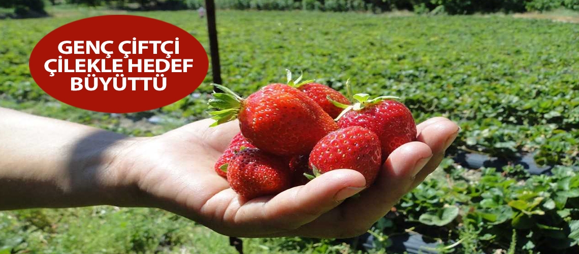 Genç çiftçi çilekle hedef büyüttü