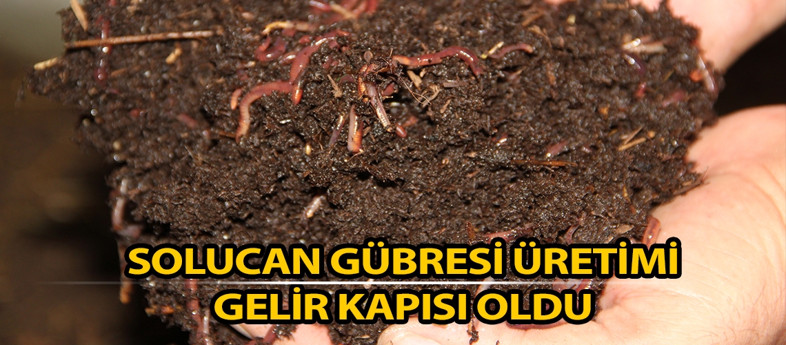 Solucan gübresi üretimi gelir kapısı oldu