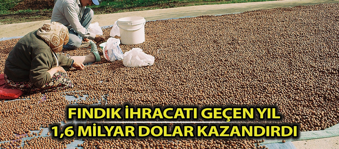 Fındık ihracatı geçen yıl 1,6 milyar dolar kazandırdı