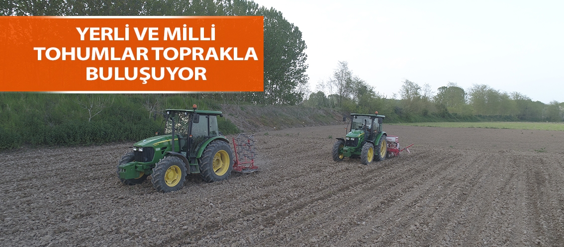 Yerli ve milli tohumlar toprakla buluşuyor