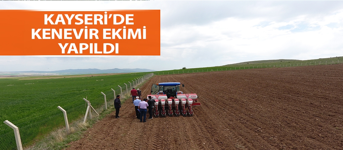 Kayseri’de kenevir ekimi yapıldı