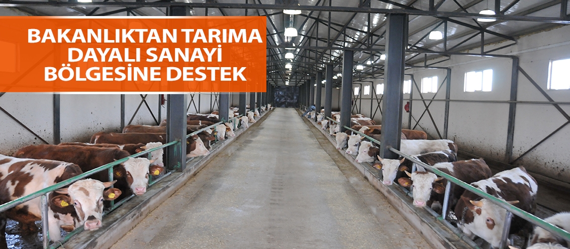 Bakanlıktan tarıma dayalı sanayi bölgesine destek