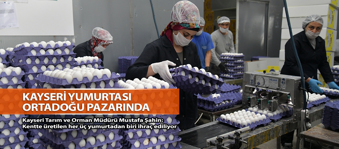 Kayseri yumurtası Ortadoğu pazarında