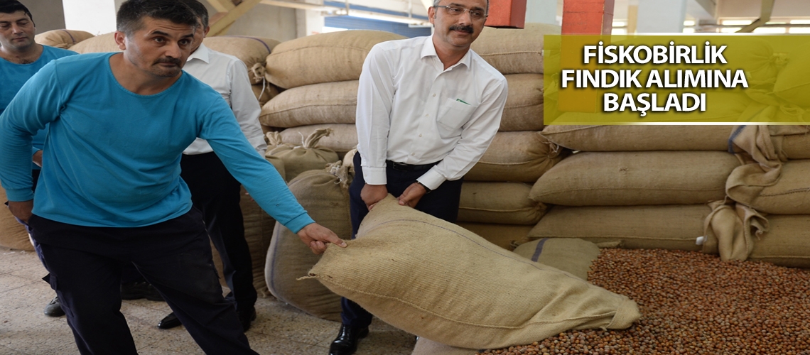 Üretim yapılan bölgelerde fındık fiyatı 9,50 lira